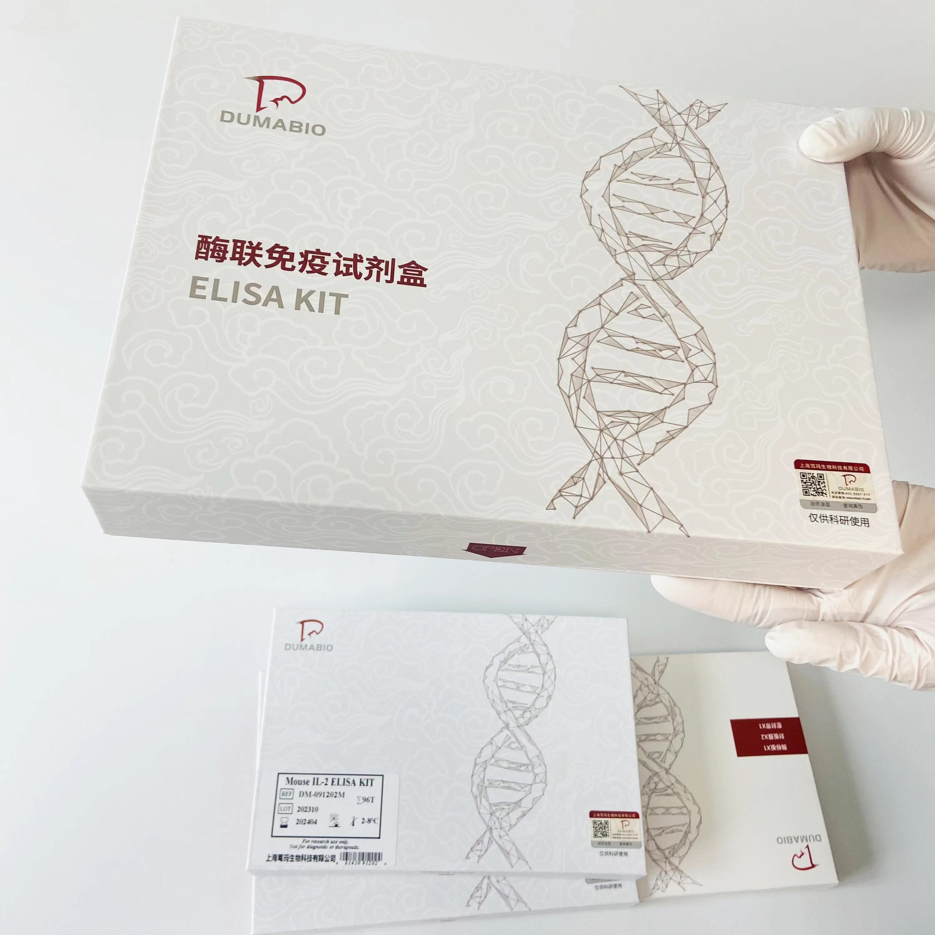 人胱天蛋白酶激活的脱氧核糖核酸酶(CAD)ELISA试剂盒