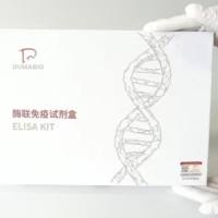 人谷胱甘肽硫转移酶pi基因(GSTpi)ELISA试剂盒