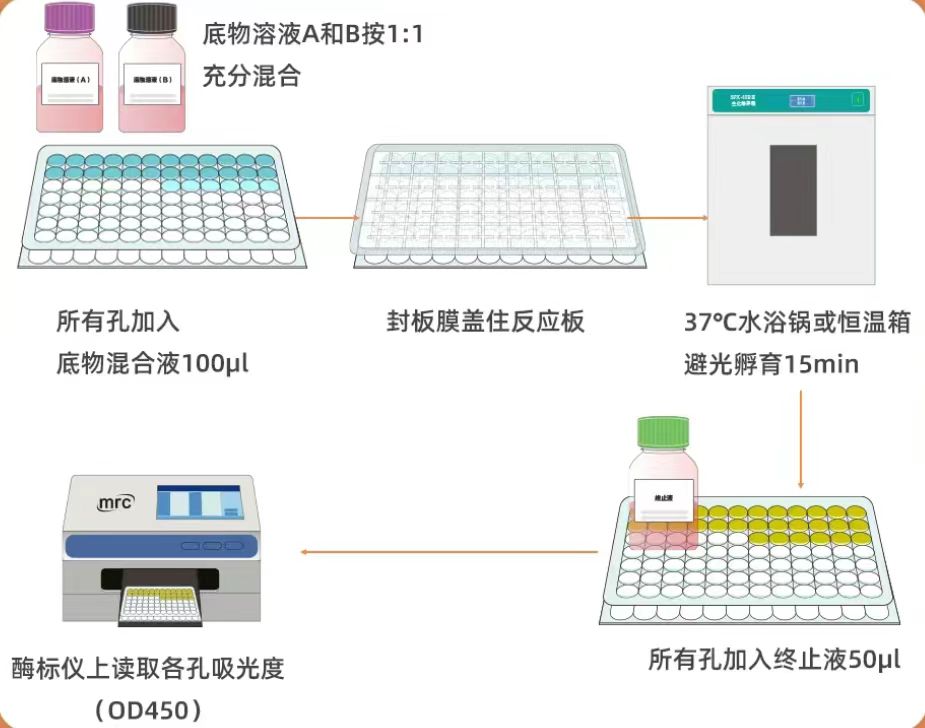 人泛素连接酶(E3/UBPL)ELISA试剂盒