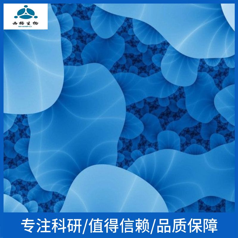 CTLA4 IG-24中国仓鼠卵巢细胞