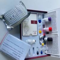 人硫酸褪黑色素(MS)ELISA试剂盒