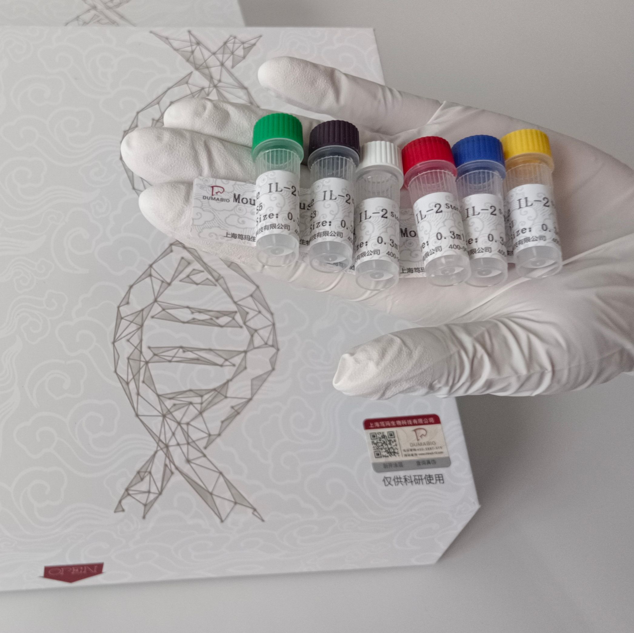 RLN2重组人松弛素-2