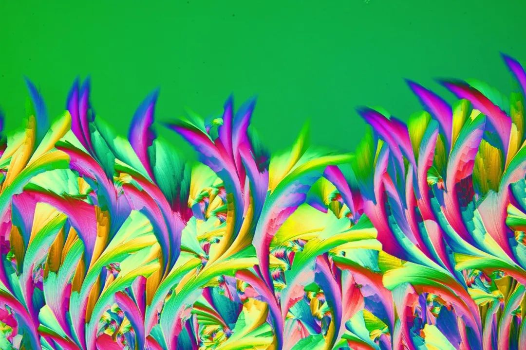 化学的艺术：认识首位EVIDENT全球显微图像大赛材料科学与工程学奖得主