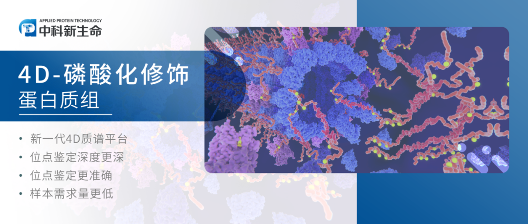 10-20分的蛋白磷酸化文章都在研究什么？