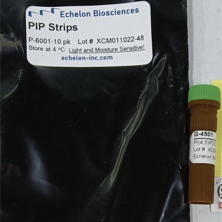 Growth Hormone Releasing Peptide 6 (GHRP-6) / GHRP [His1, Lys6]