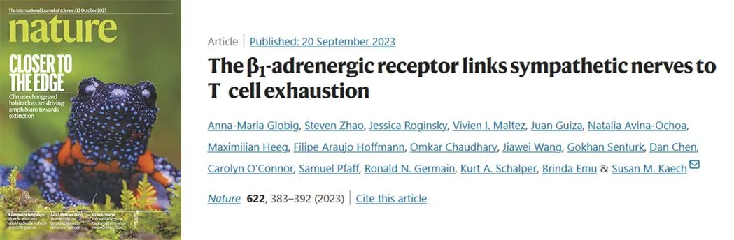 文献奖励│请接受这份来自Bioss的温情回馈大礼包~