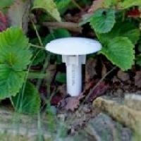 (土壤)温度记录仪