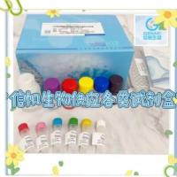 ELISA实验代测服务