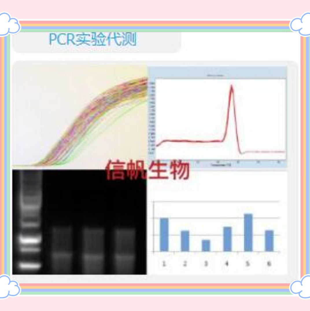 承接各类实验服务 实时荧光定量及半定量RT-PCR实验代测