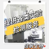 IP类实验检测服务