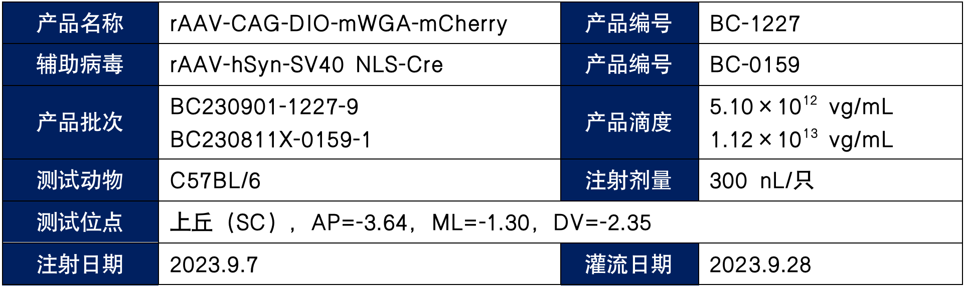 小布show｜mWGA顺向跨单AAV病毒测试报告