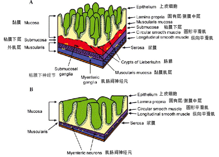 新闻图片5