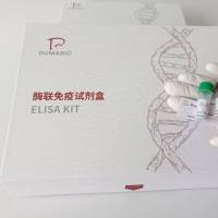 人β萘酚(β-naphthol)ELISA试剂盒