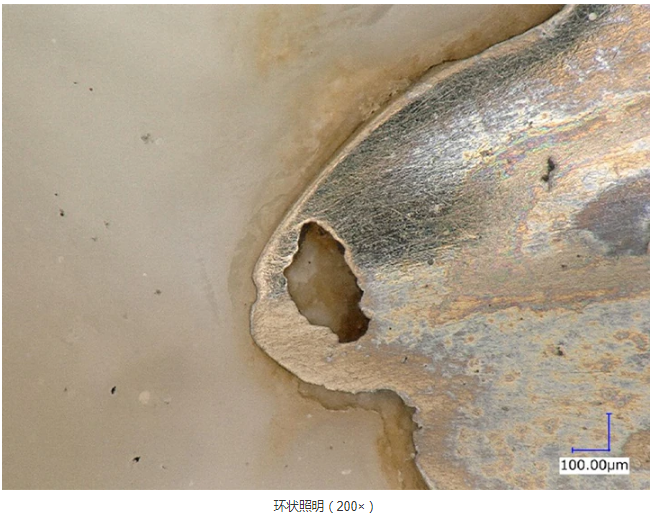 法医学等科学调查的高水平、高效率观察和分析