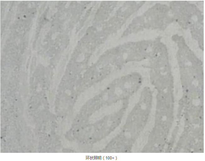 法医学等科学调查的高水平、高效率观察和分析