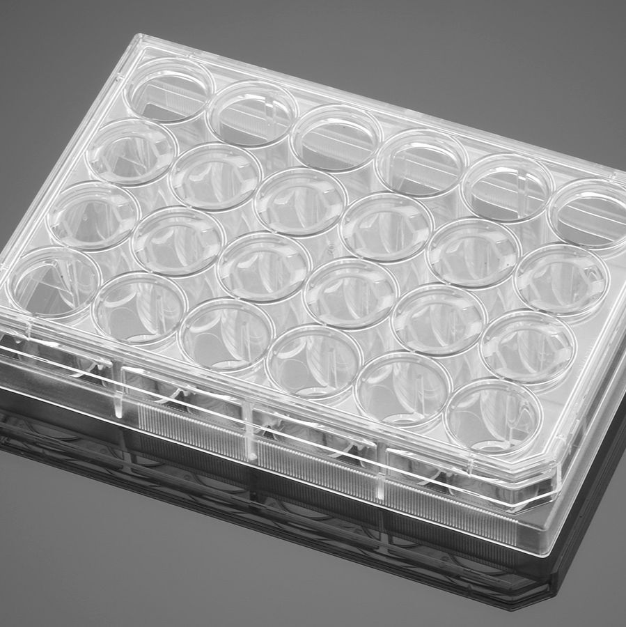 Corning® BioCoat™ Matrigel® 包被侵袭小室，8.0 µm PET膜，2块24孔板，12/包，24/箱