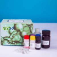 兔血小板衍生因子BB(PDGF-BB)ELISA测试盒