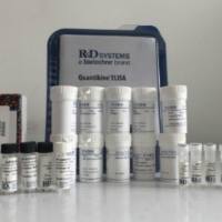 R&D重组人血管生成素-1蛋白,CF