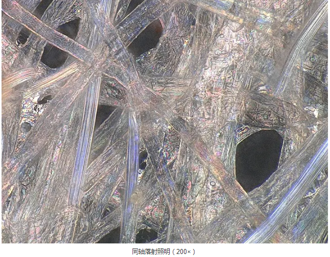 法医学等科学调查的高水平、高效率观察和分析
