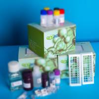 猪内脂素(Visfatin)ELISA测试盒