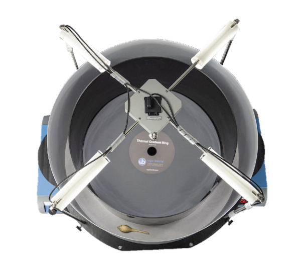 热梯度痛觉测试仪,小鼠温度梯度测试仪