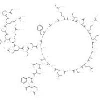 ATRIOPEPTIN III (RAT)