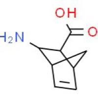 3-外双环氨基[2.2.1]-5-嗯-2-外羧基酸