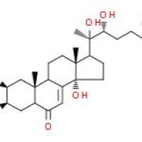 蜕皮激素(β-蜕皮甾酮)
