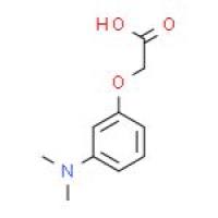 2-(3-(二甲氨基)苯氧基)乙酸