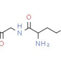 L-甲硫氨酰甘氨酸