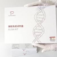 人活化蛋白C(APC) ELISA试剂盒