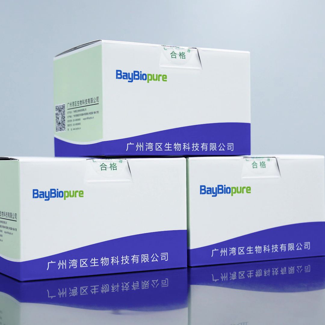 BayBiopure磁珠法干血斑DNA提取试剂盒