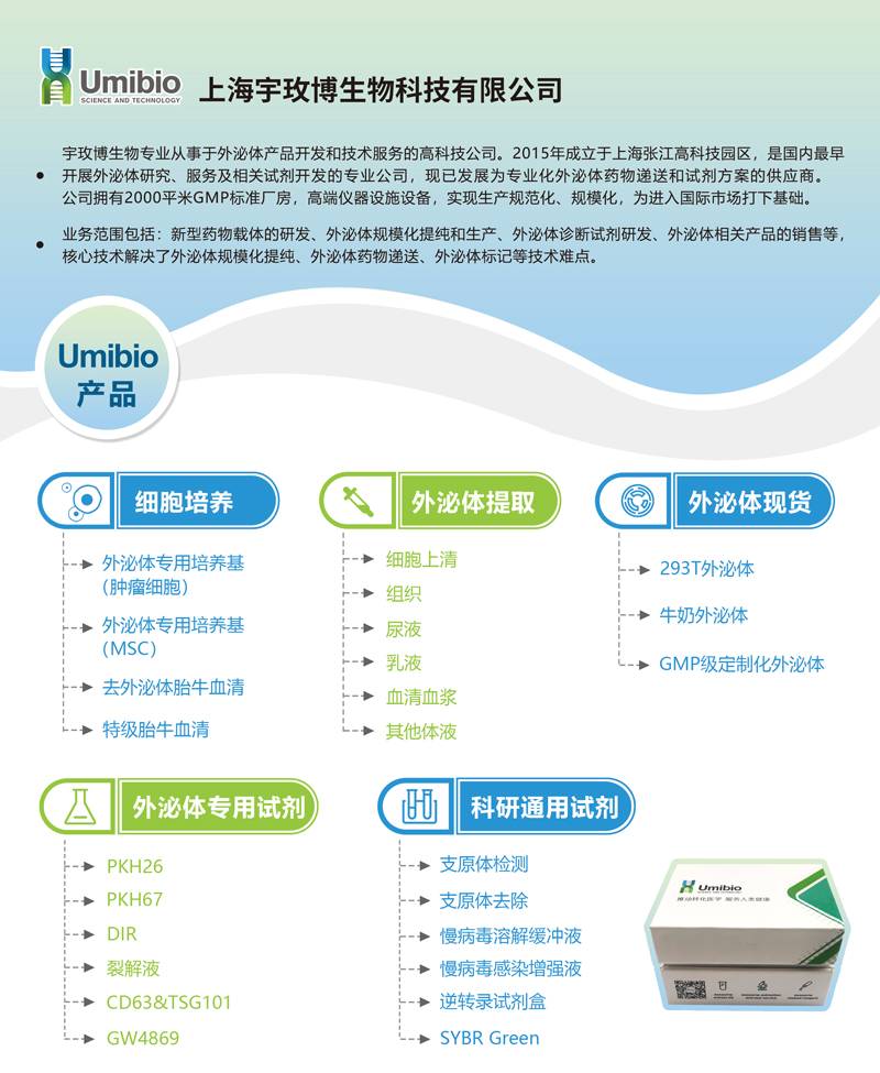 新闻图片11