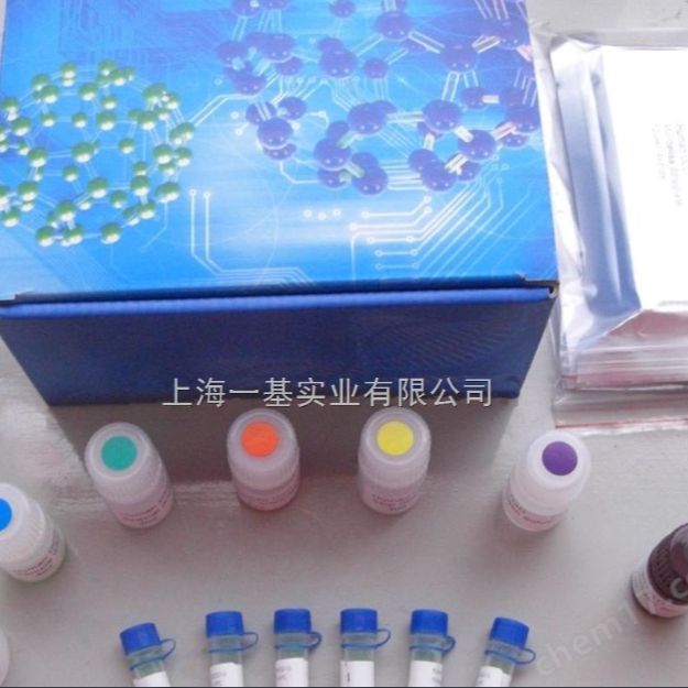 预染蛋白分子量Marker试剂盒