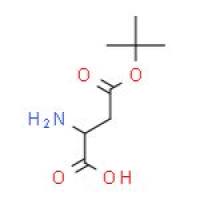 L-天门冬氨酸-4-叔丁基酯