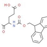 Fmoc-L-谷氨酸