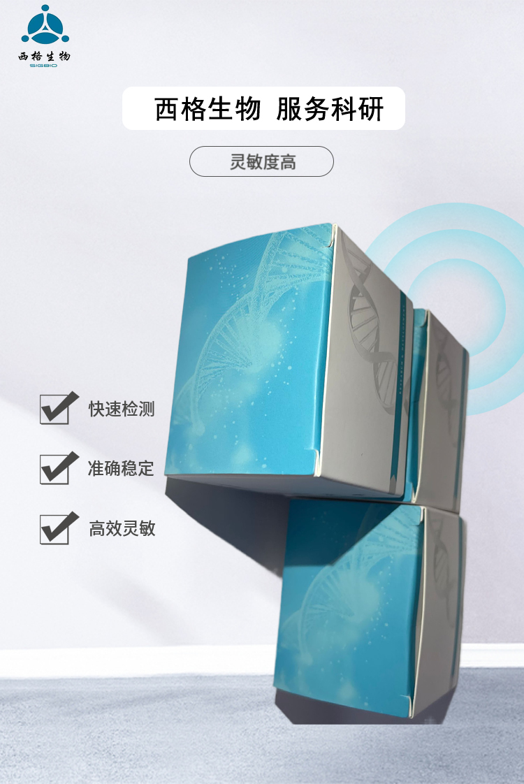 Super Taq DNA Polymerase