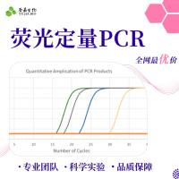 荧光定量PCR 实验技术服务