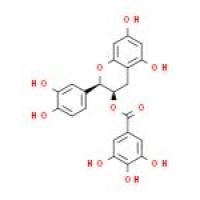 表儿茶素没食子酸酯