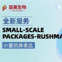 高通量小量抗体表达RushMab®