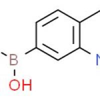 3-氨基-4-甲基苯硼酸