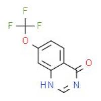 4-羟基-7-(三氟甲氧基)喹唑啉