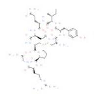 [Arg、8]-Vasotocin acetate salt