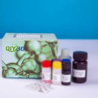 兔Ⅱ型前胶原N端前肽(PⅡNP)ELISA测试盒