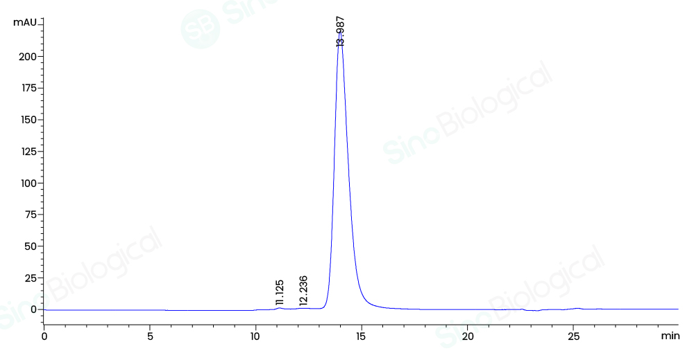 重组人 ACE2 蛋白(His标签)(HPLC验证)