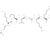 促肾上腺皮质激素片段 (1-17),人
