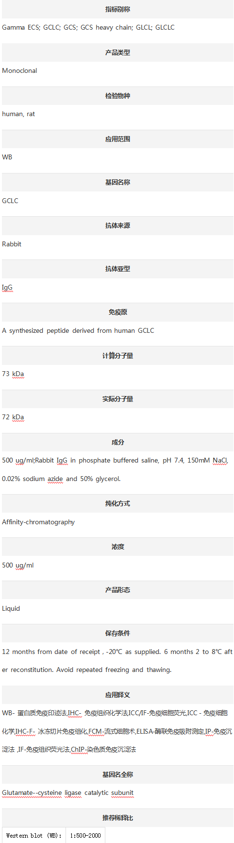 Anti-GCLC Antibody