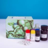 兔乳腺癌标志物-CA153（CA153)ELISA测试盒