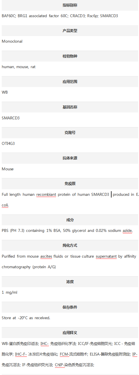 Anti-SMARCD3 Antibody (Clone#O