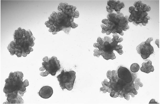 产品细节图片13